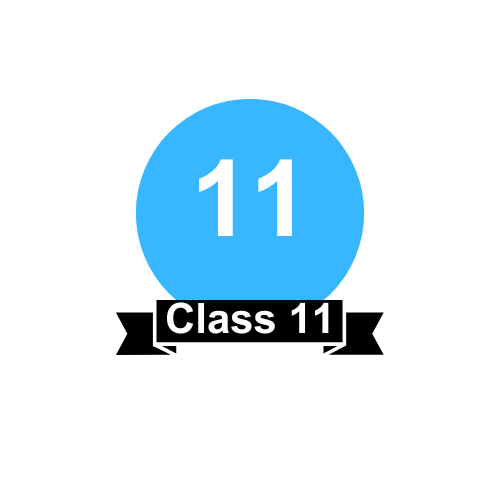 Class 11